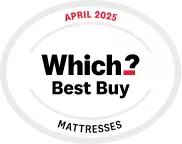 Which best buy logo