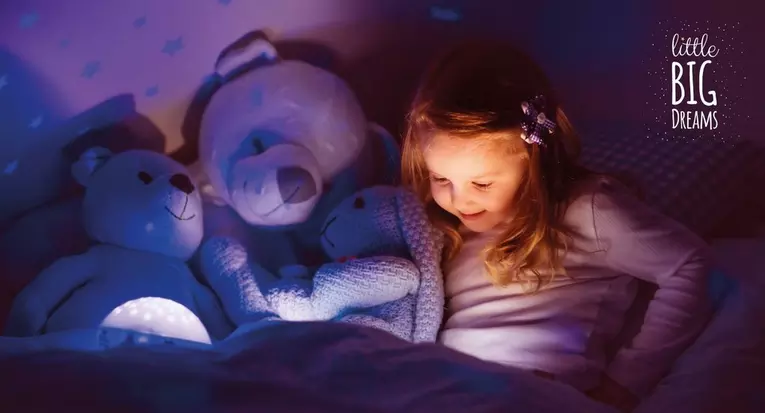 Little big dreams banner image