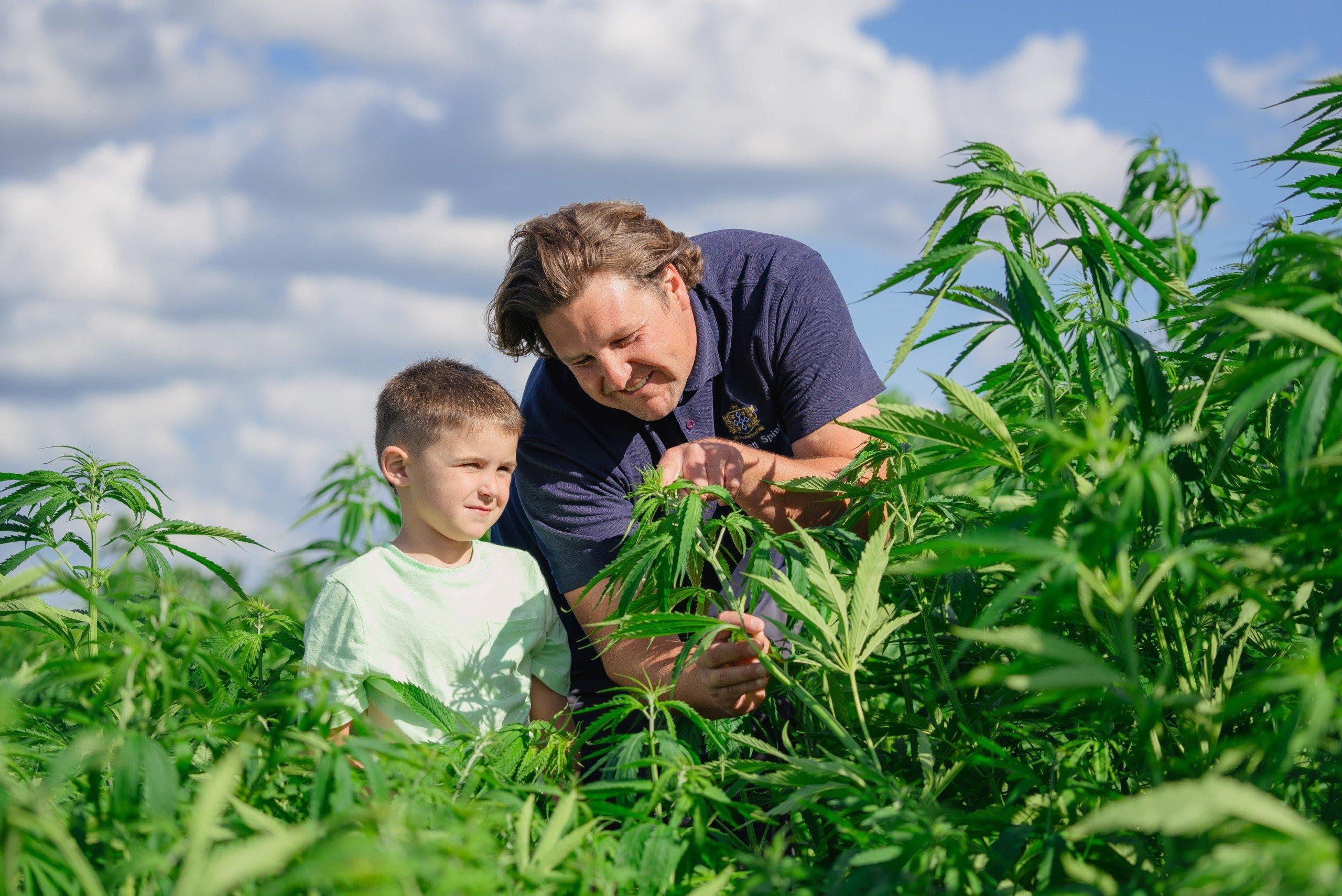 Man and son in hemp field