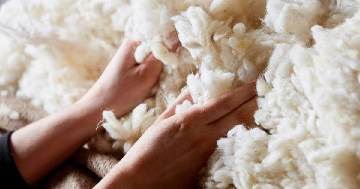 What Goes Into A Mattress? Mattress Fillings & More